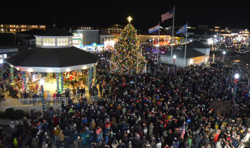 rehoboth tree