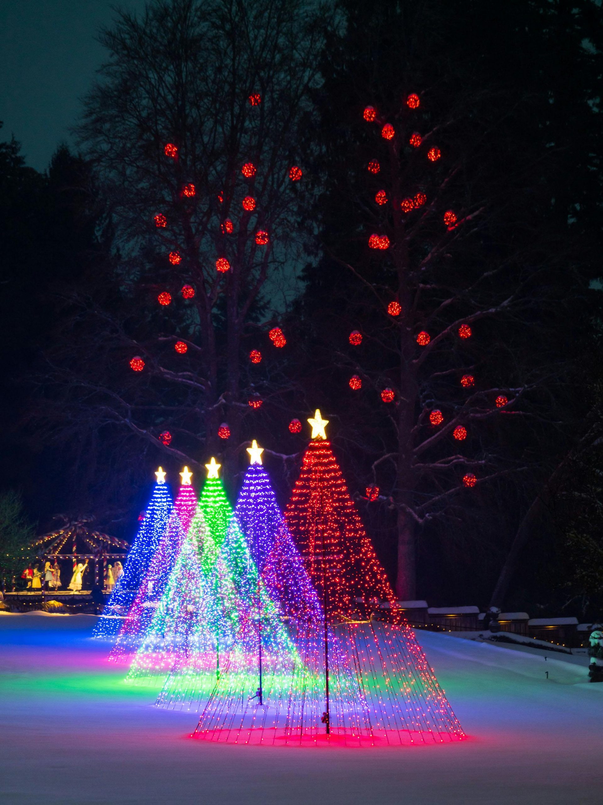 Vibrant Christmas lights in a snowy outdoor scene with colorful illuminated trees under a night sky.