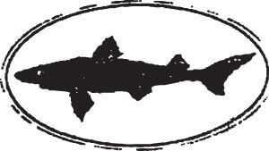 dogfish